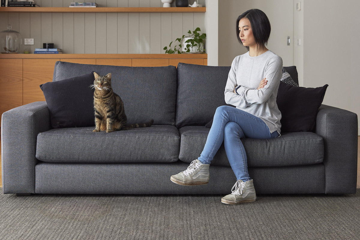 Why do pets urinate on the carpet inside and how do you discourage them